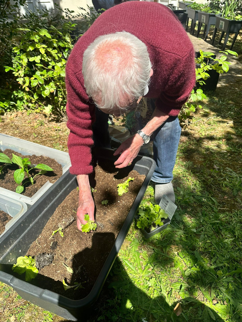 Potager