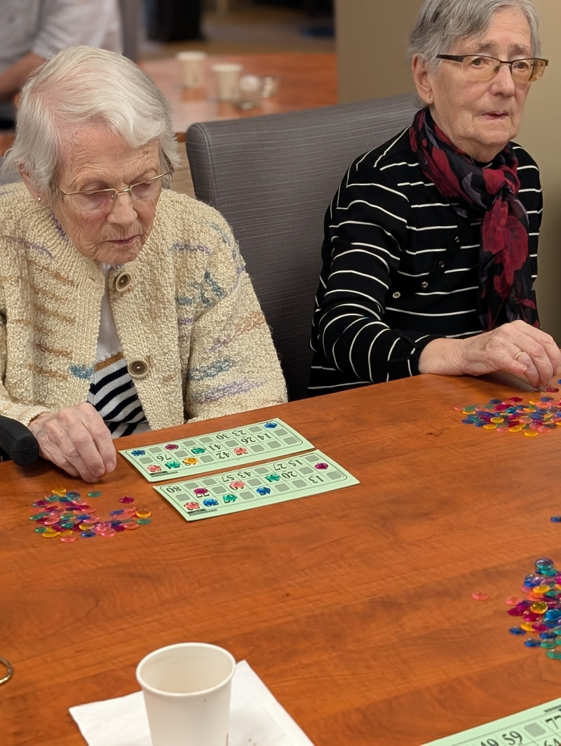 loto ou bingo