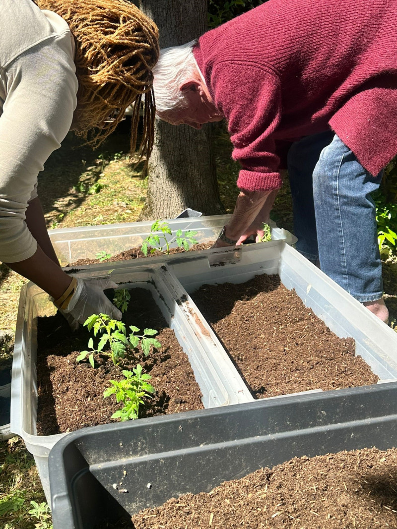 Potager